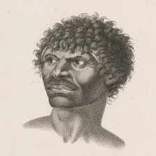 Gnoung-a-gnoung-a Mour-re-mour-ga (dit Collins)