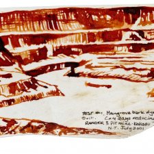 Test #1 Ranger 3 Pit Mine Kakadu, N.T.: Preparatory study for 'Nothing's as precious as a hole in the ground'