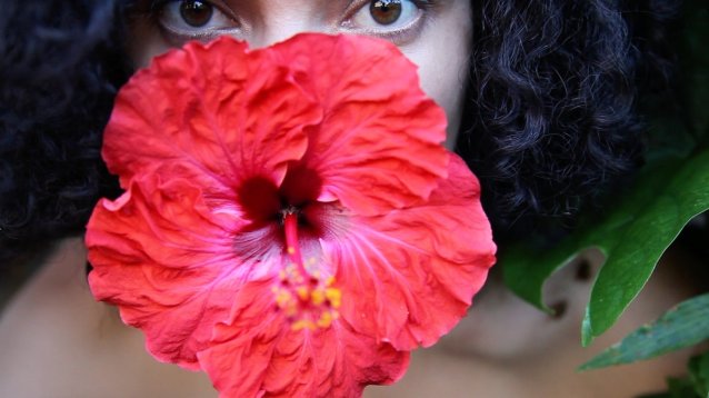 Hibiscus rosa sinensis, 2010 Angela Tiatia