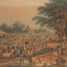 Woburn Sheepshearing