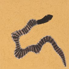 Ngalim-Ngalimbooroo Ngagenybe