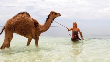 Mia Wasikowska as Robyn Davidson at Hamelin Pool, 2013 by Matt Nettheim